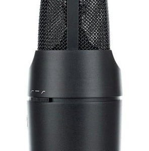 sE Electronics X1S