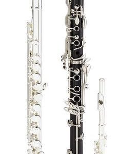 Hercules  DS543BB