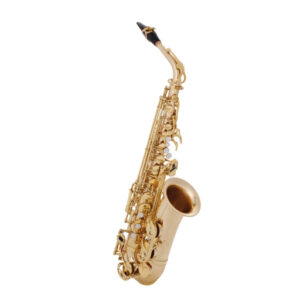 MTP Eb alto saxofon mod.A-975